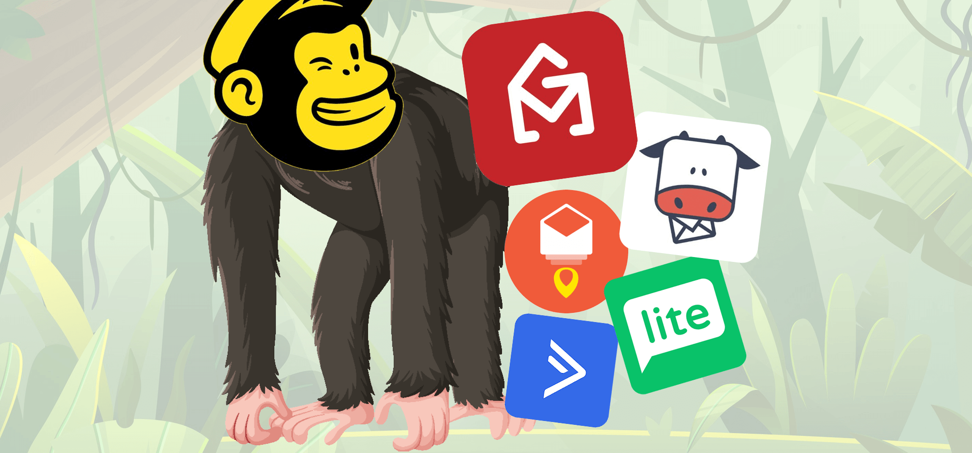 mailchimpalternatives feat tinified